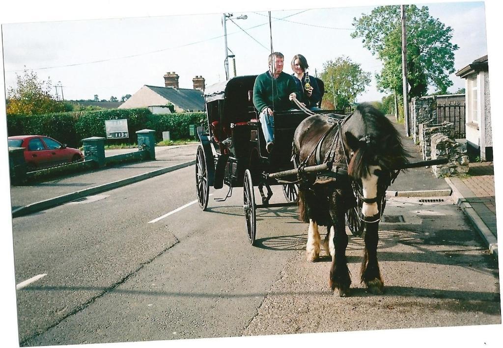Dalys Inn Donore  Kültér fotó